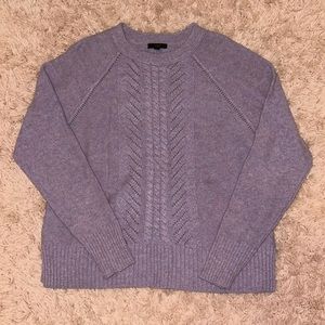 Purple Women’s J. Crew Sweater